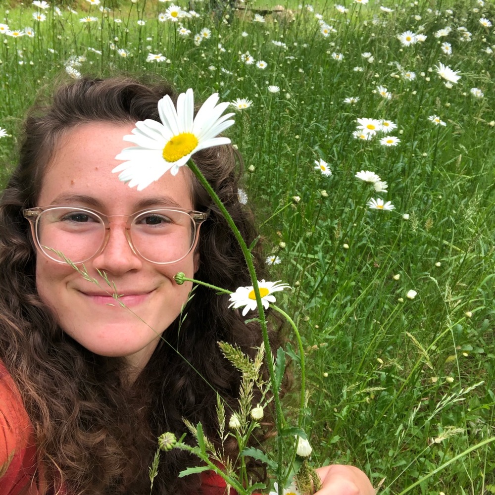 Meet your Posher, Sasha